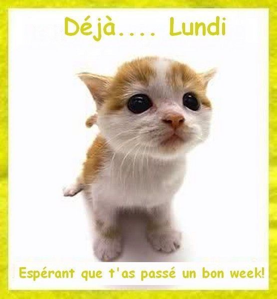 encore un bon