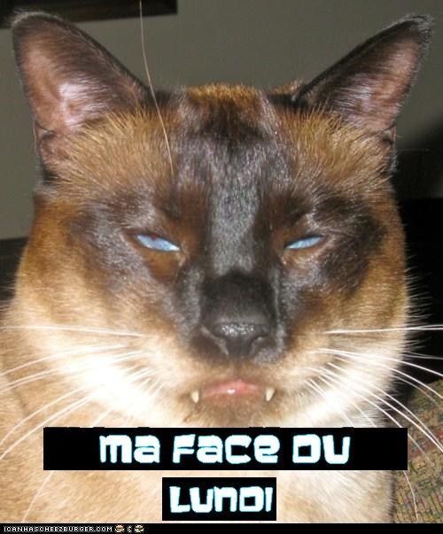 Ouais....! ma face du lundi...