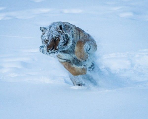 courage et force