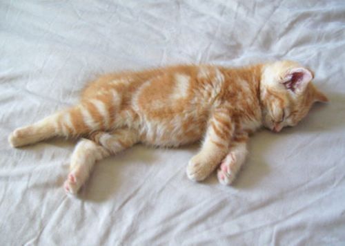 PUFFF   je suis capoute...
