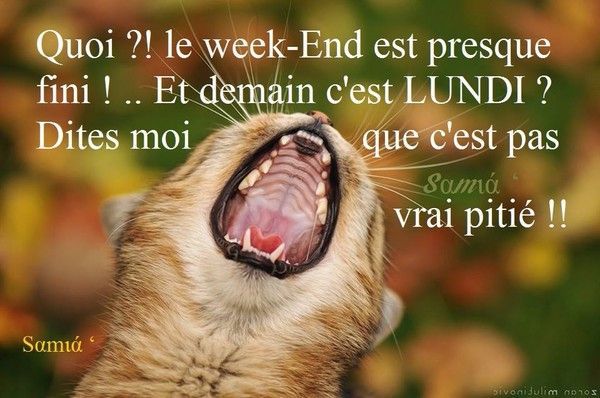 pitiéééééééé
