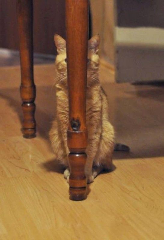 Na on me voit pas..hi.hi..