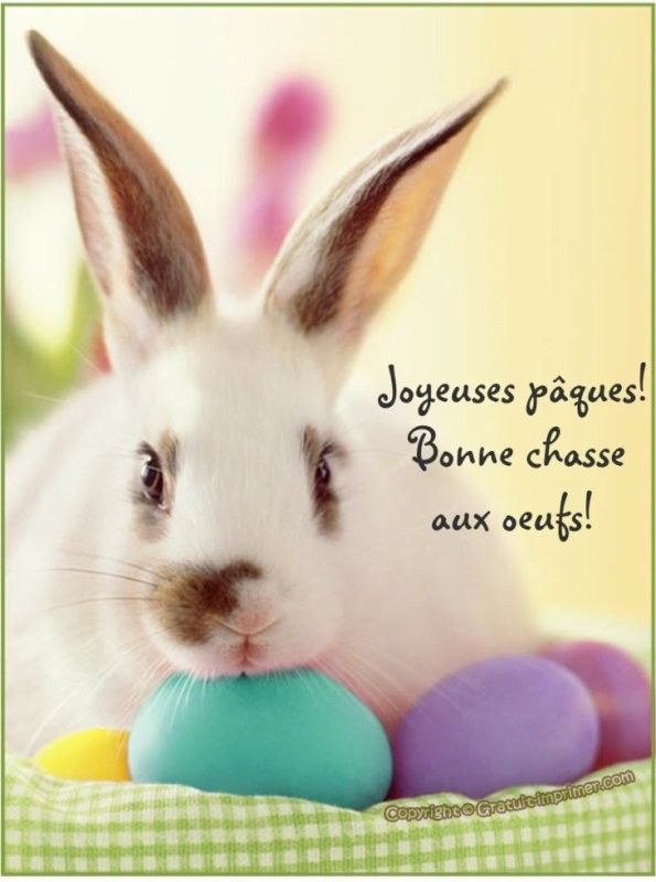 Bonne chasse...hi..hi..