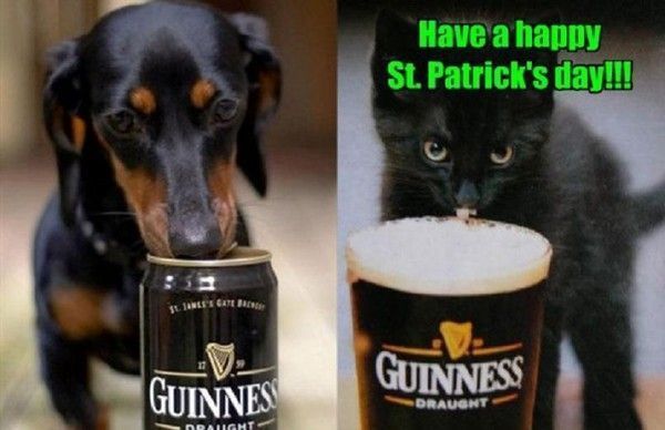 Happy St-Patrick