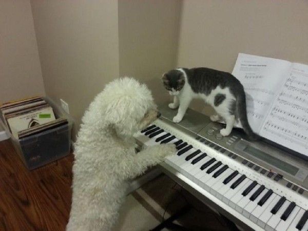 Ok..je te donne la note...