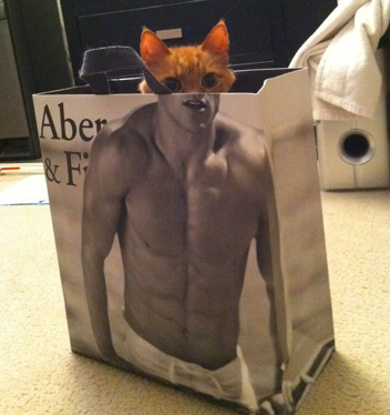 Le chat sort du sac...