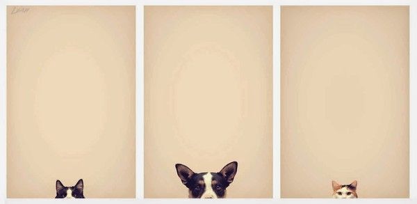 y'as personne..hi.hi..