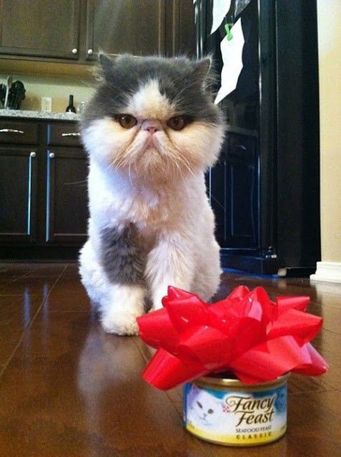 Boxing day...