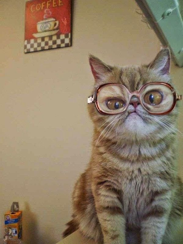 rentré..scolaire..hi.hi..