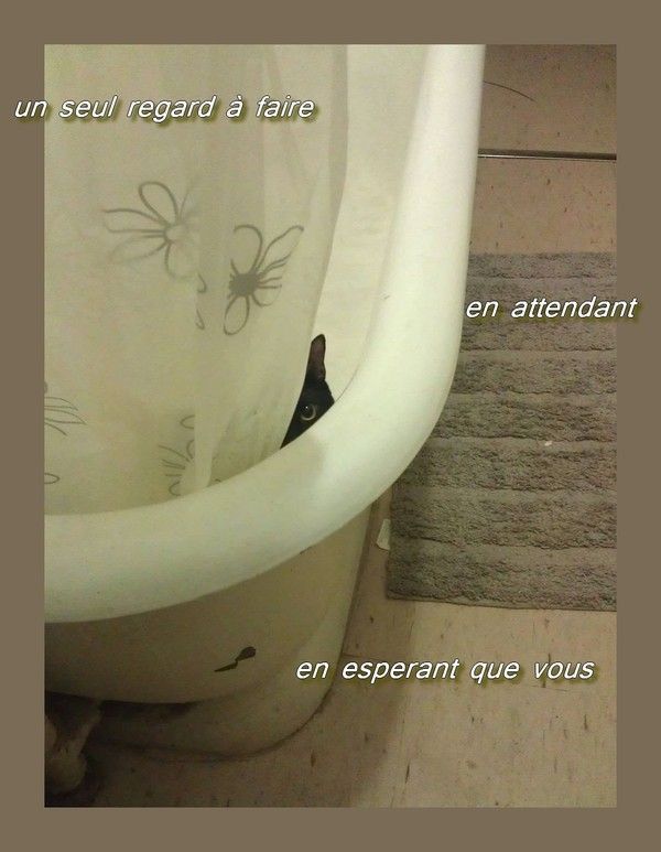 J'attend à  ton absence...!!!