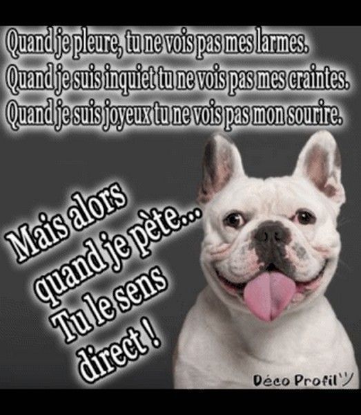 pensé