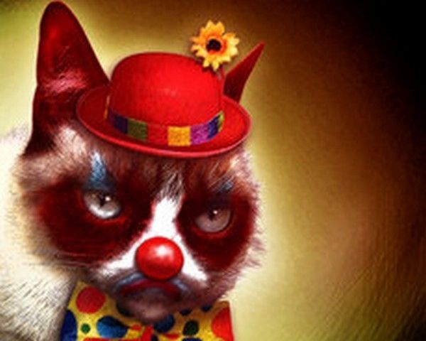 J'aime pas les clowns..moé..hi.hi..