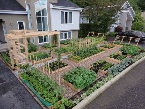 Un jardin bien organisé....