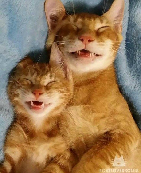 pis là..là cé....hi.hi..