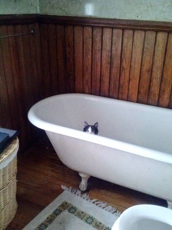 un coucou.....hi.hi..