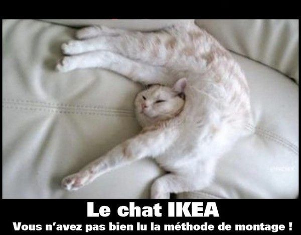 toujours..hi.hi..