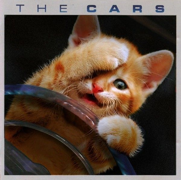 the cars