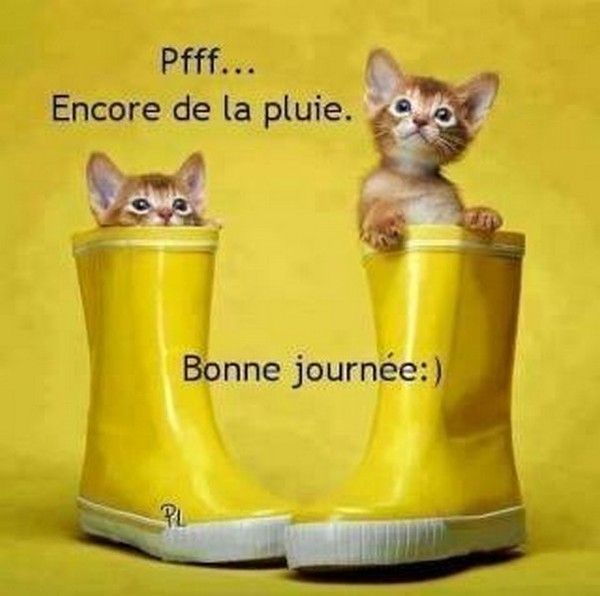 bonne journée