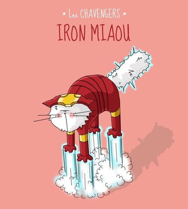 iron miaou