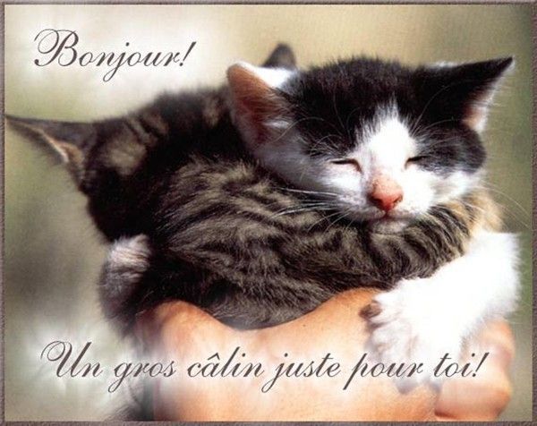 BONJOUR...mes amis...