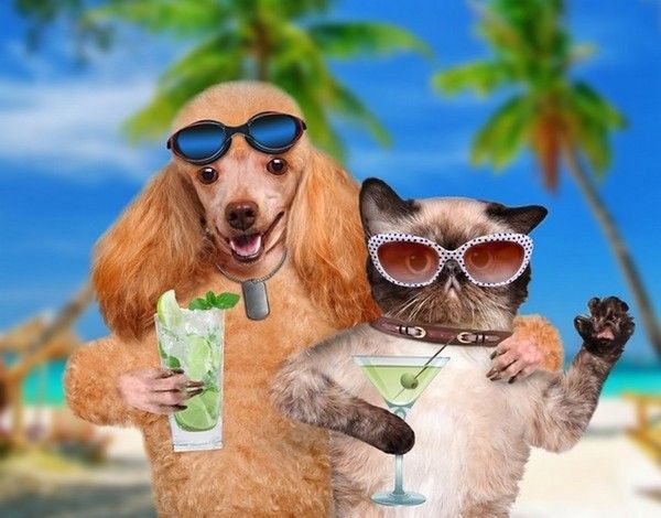 vive le beau temps..hi.hi...