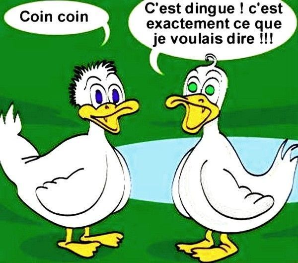 Humour BD