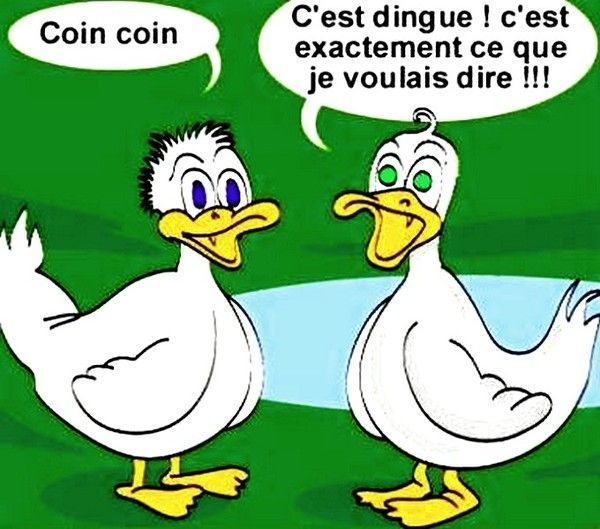 Humour BD