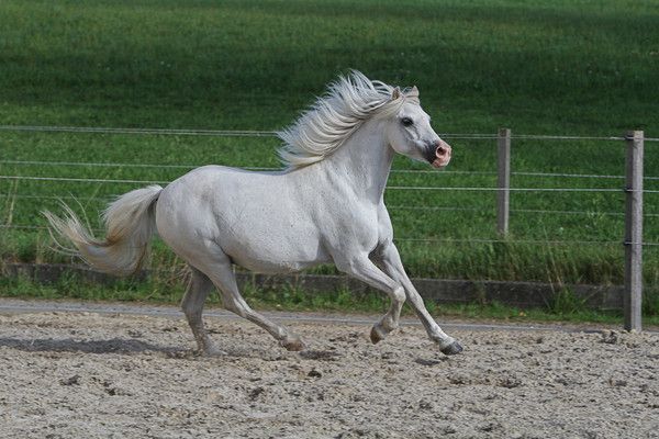 beauté....tout en blanc