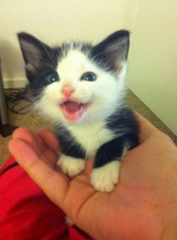 I said cheese..hi.hi..