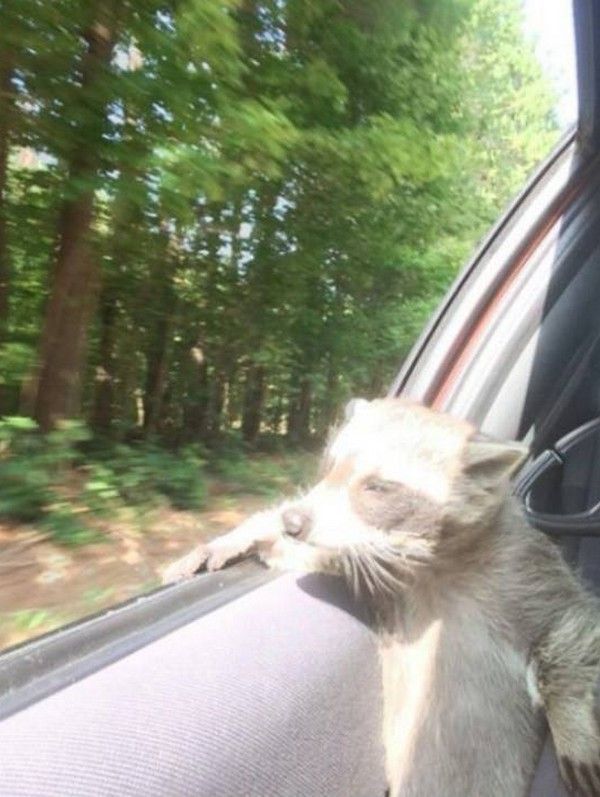 en route.....hi..hi...