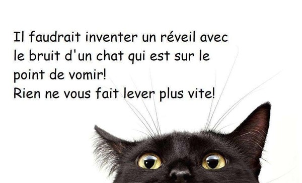 chat chat