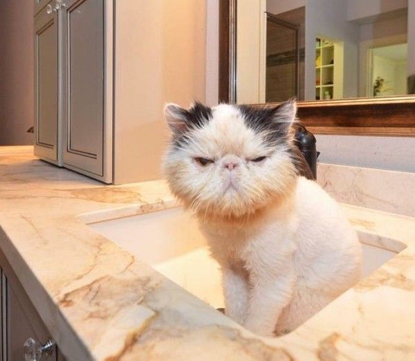 aimes pas vraiment..hi.hi..