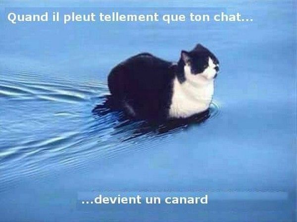 et tu vois ton