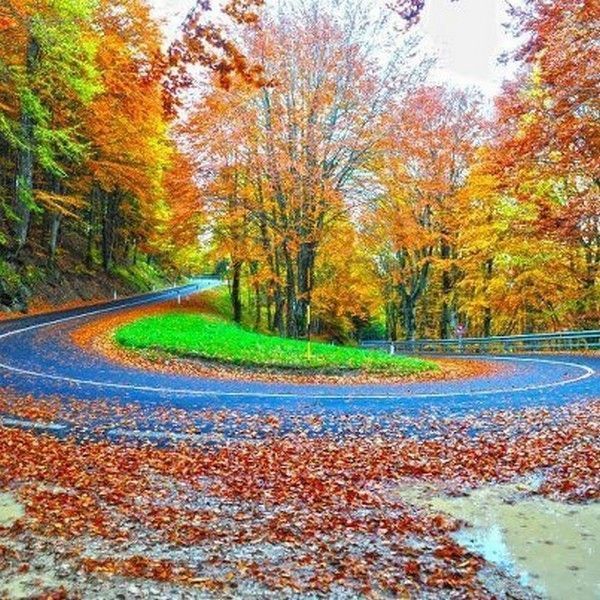 Route automnal