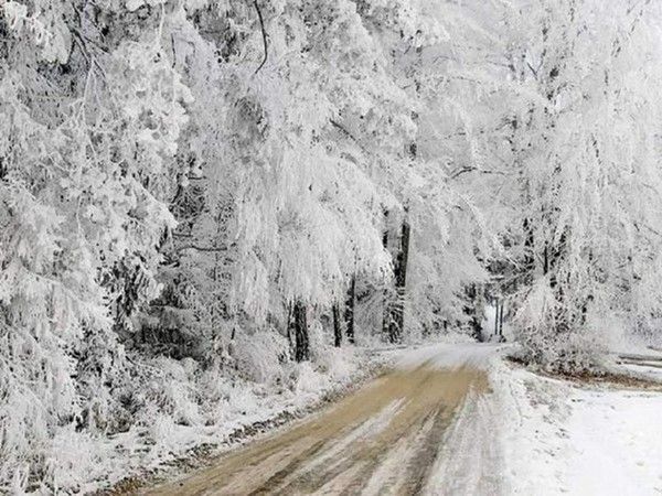 paysage hiver