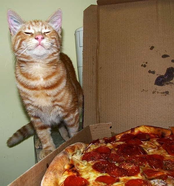 hUmm...pizza.....