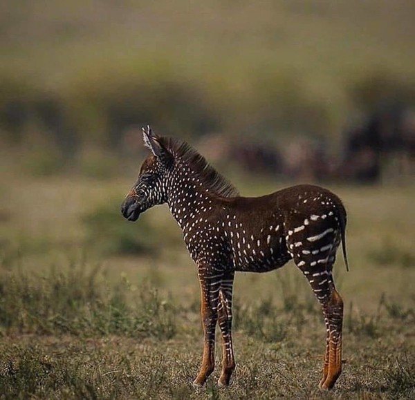 bébé...