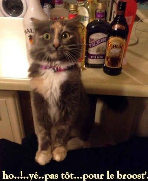 si..si...yé.tôt...hi.hi..