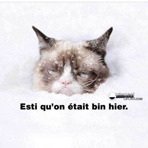 hey mdr ....c'étais chat sphate...hier..hi.hi..