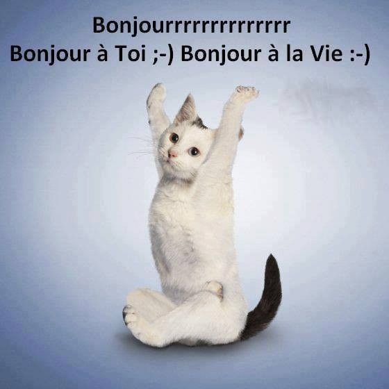 Bonjour....