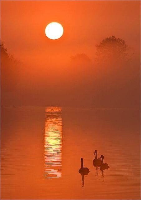 Bien lever...