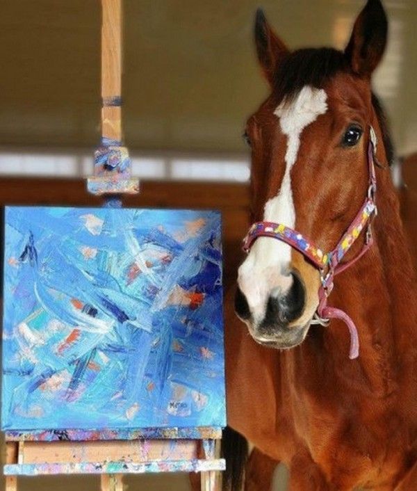 J'ai du talent...hi.hi..