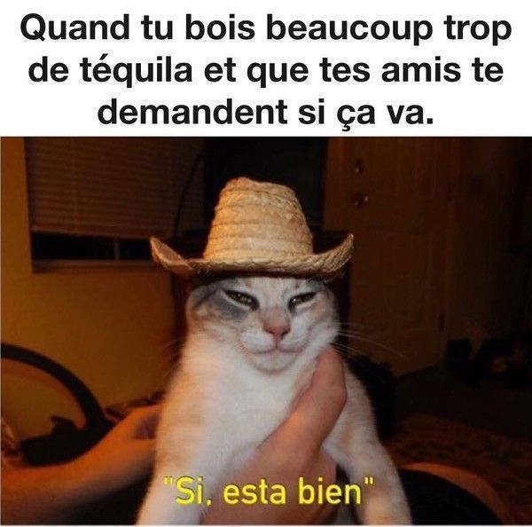 va être moé...hi.hi..