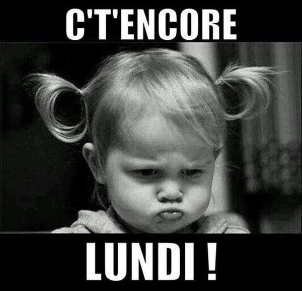 lundi chat donne