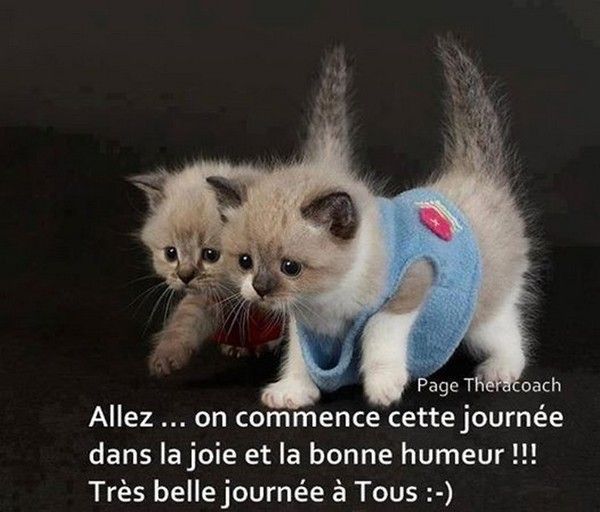belle journée