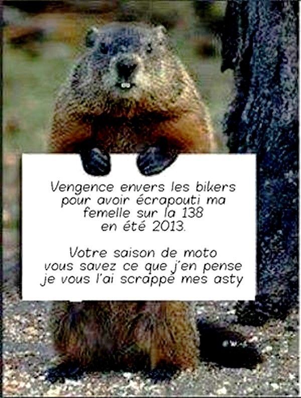 Ouais..!....pas près sortir..hi.hi..