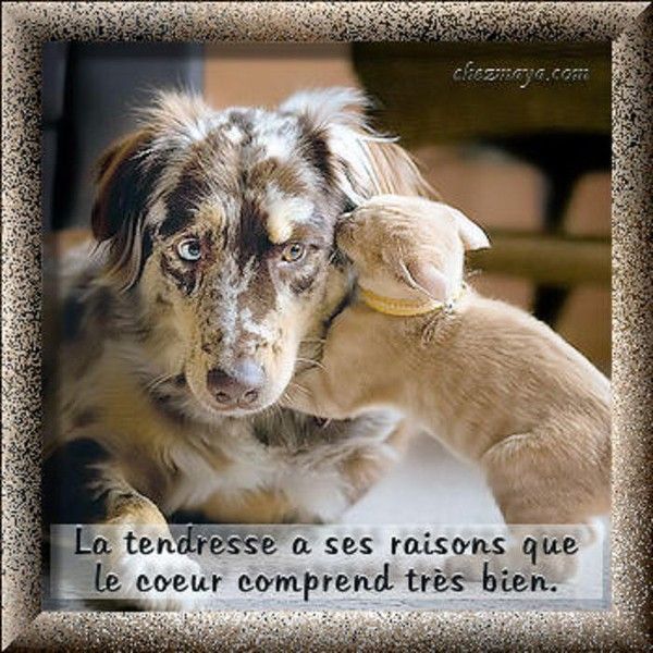 Moment tendresse