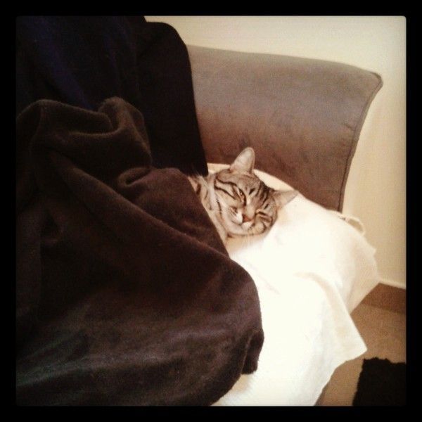 quoi.....