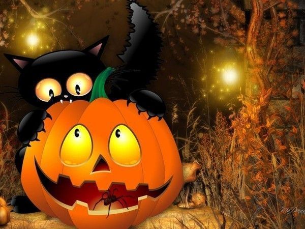 Fond halloween