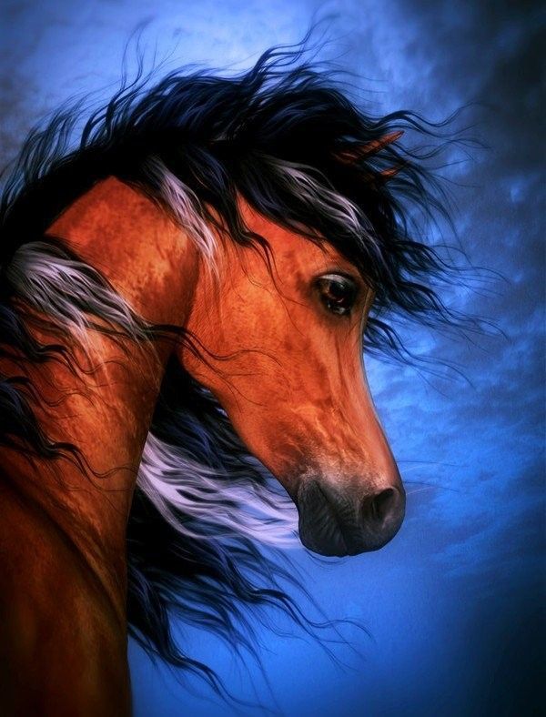Magnifique cheval...